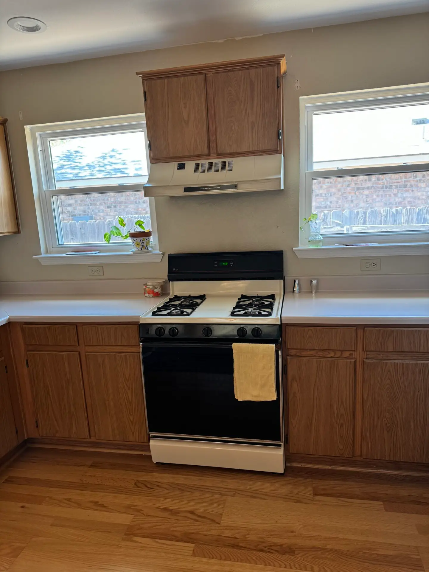 IMG_0189-rotated.jpeg IMG_0189-rotated.jpeg